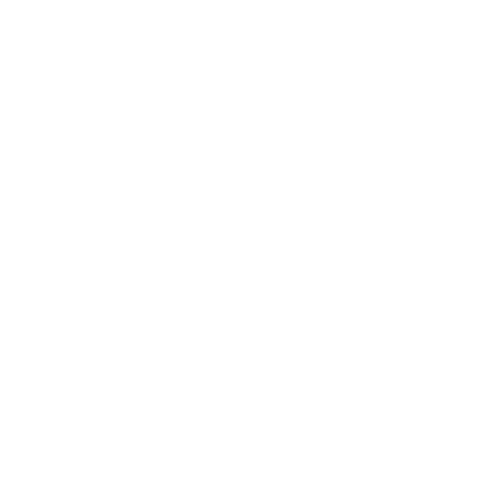 Yoga & Fitness Coach